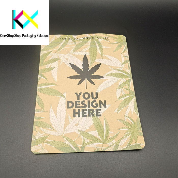Biodegradable Paper Pouch