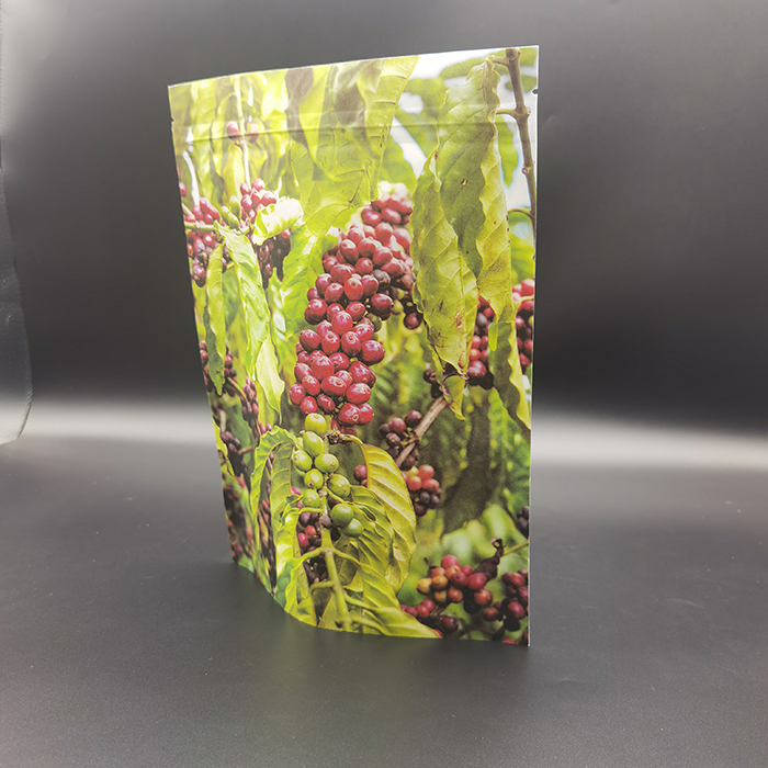 Biodegradable Packaging Pouches