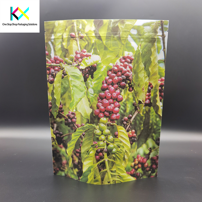 Biodegradable Packaging Pouches