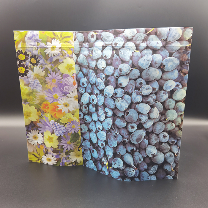 Compostable Food Packaging Bags