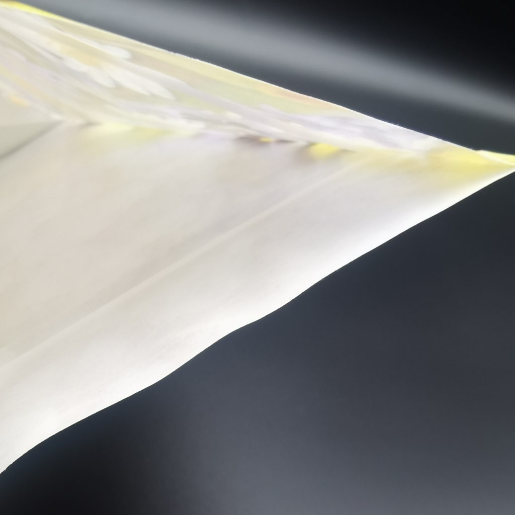 Compostable Food Packaging Bags