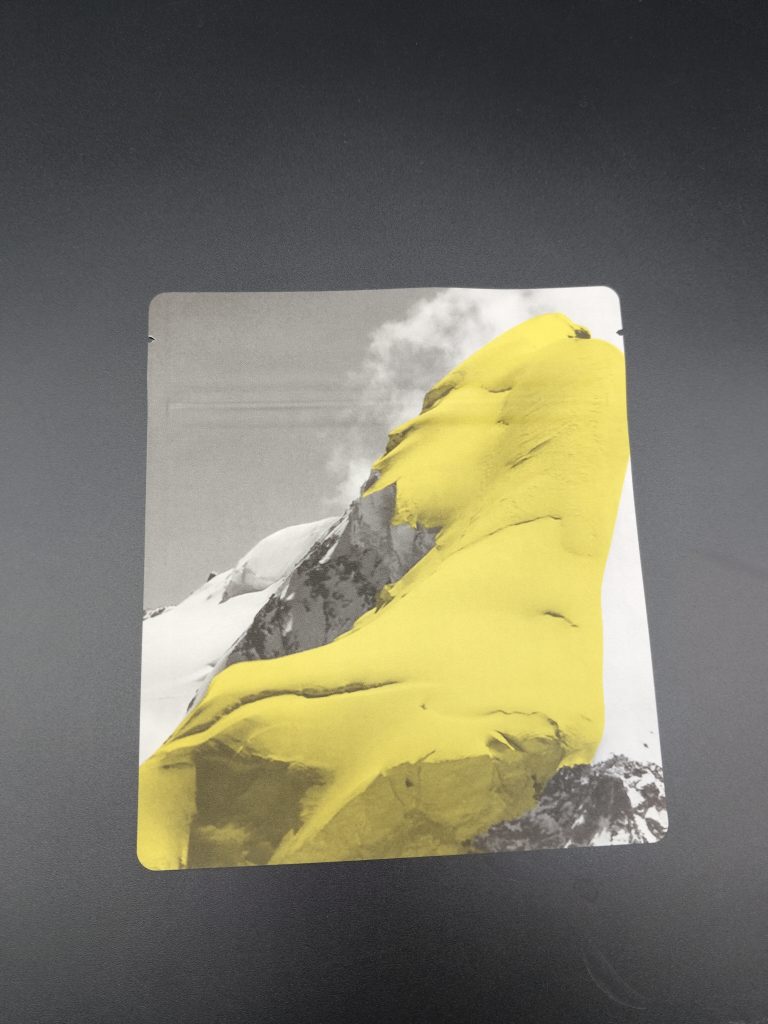 Kraft Zipper Pouch