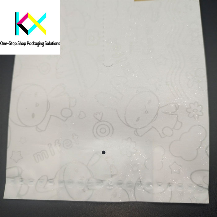 Biodegradable Plastic Bags for Food Packaging